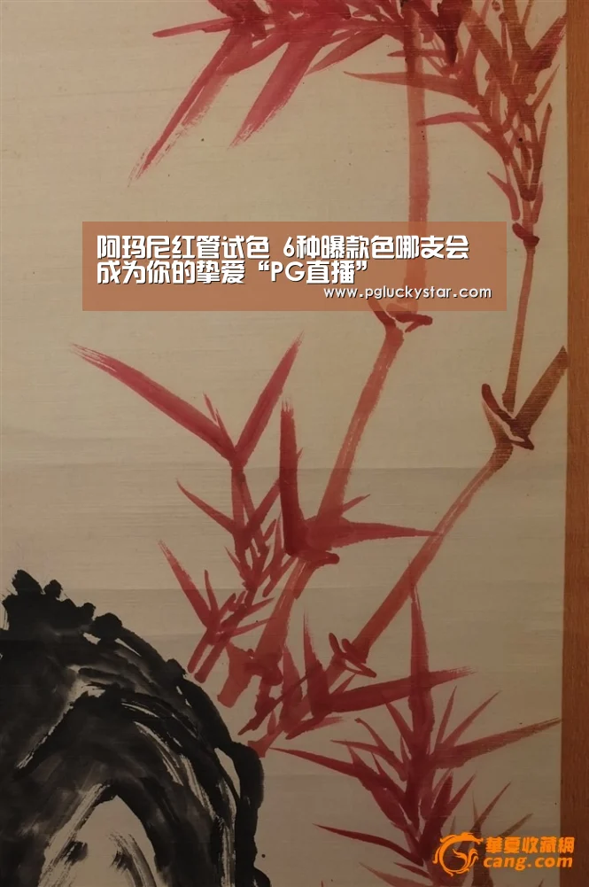 PG公司