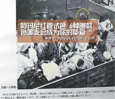 PG公司