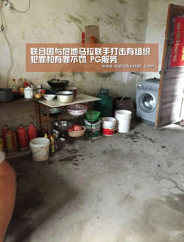 PG直播