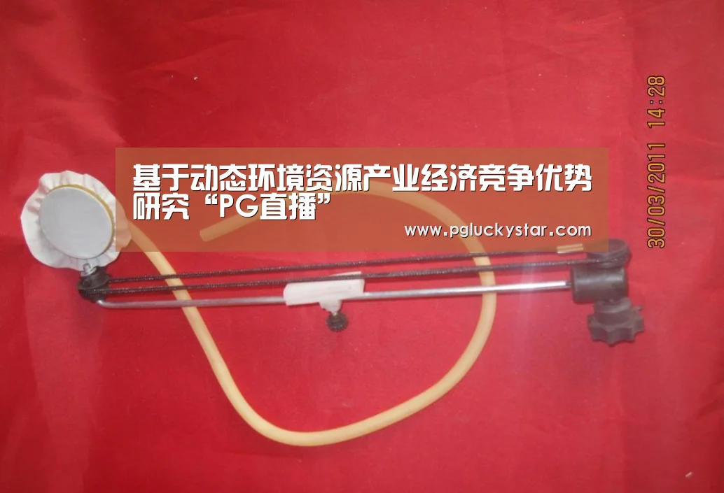 基于动态环境资源产业经济竞争优势研究“PG直播”(图1) PG公司