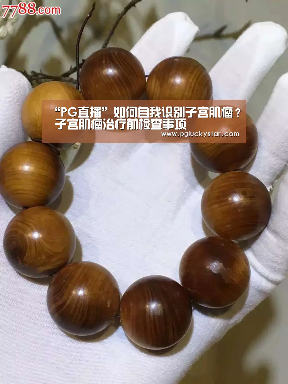 PG模拟器