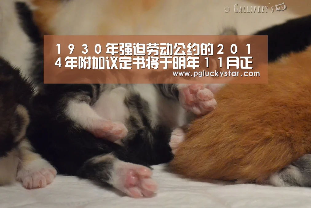 PG直播