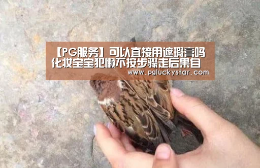 【PG服务】可以直接用遮瑕膏吗 化妆宝宝犯懒不按步骤走后果自负(图1) PG模拟器