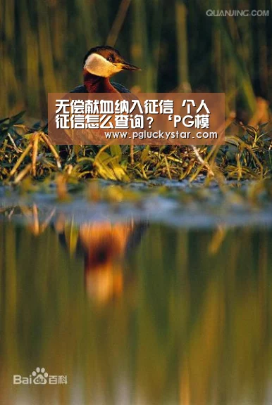 无偿献血纳入征信 个人征信怎么查询?‘PG模拟器’(图2) PG直播