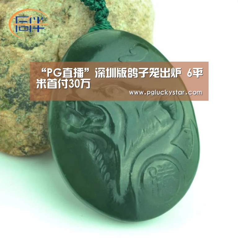 “PG直播”深圳版鸽子笼出炉 6平米首付30万(图1) PG直播