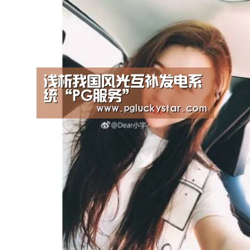 浅析我国风光互补发电系统“PG服务”(图3) PG模拟器
