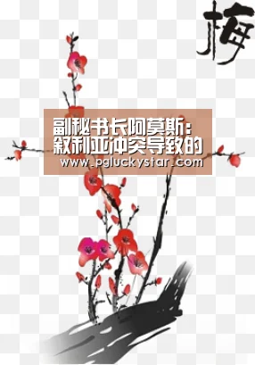 副秘书长阿莫斯:叙利亚冲突导致的人道主义危机持续恶化【PG服务】(图2) PG服务