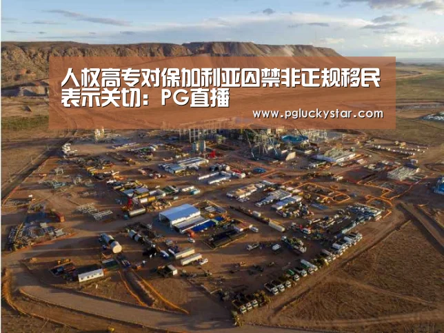 人权高专对保加利亚囚禁非正规移民表示关切:PG直播(图3) PG模拟器