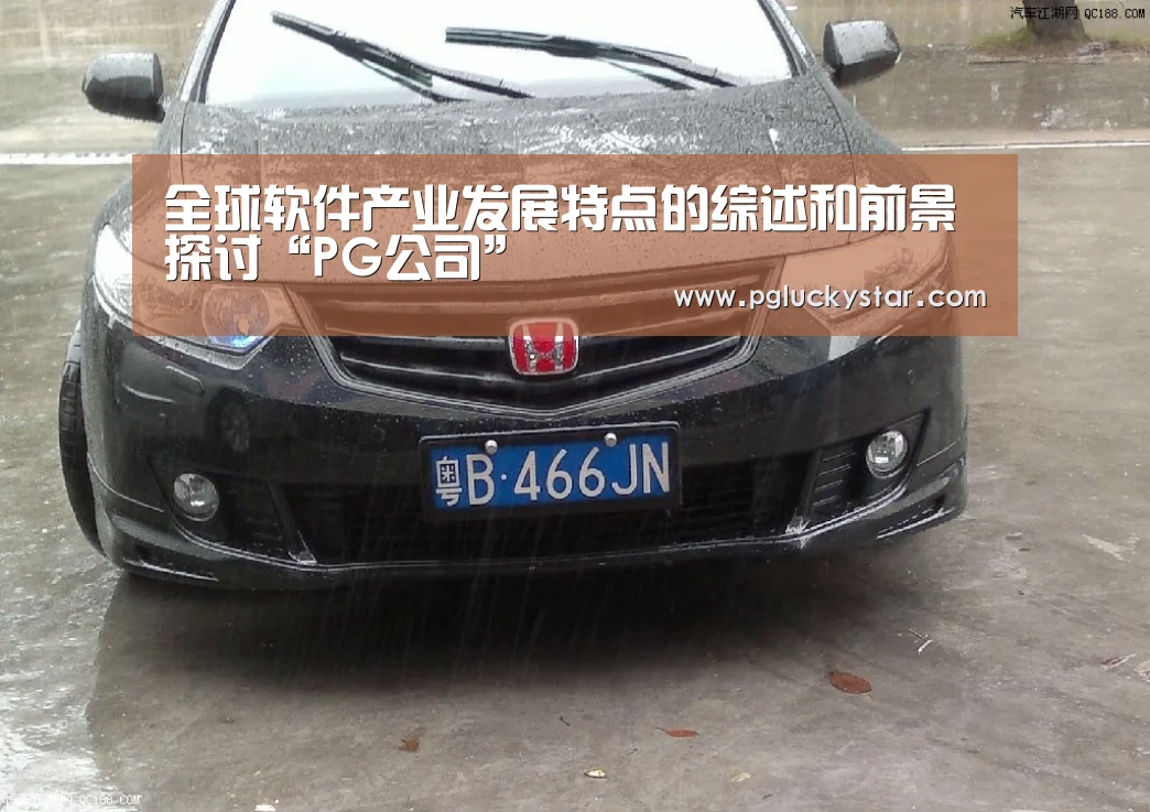 全球软件产业发展特点的综述和前景探讨“PG公司”(图3) PG服务