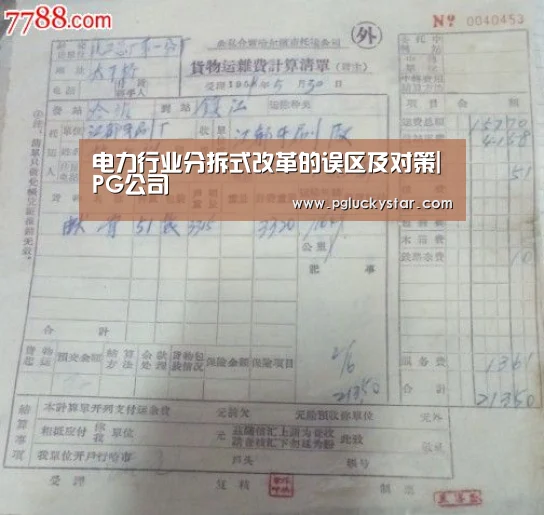 电力行业分拆式改革的误区及对策|PG公司(图1) PG公司