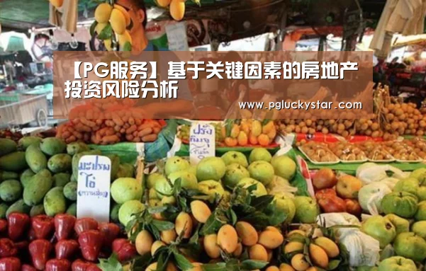【PG服务】基于关键因素的房地产投资风险分析(图3) PG模拟器