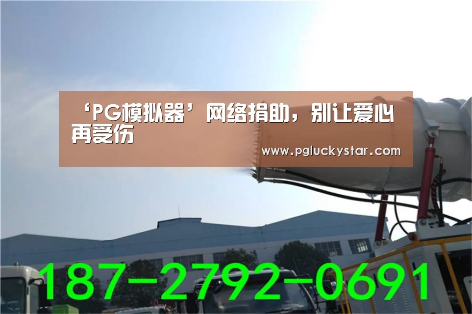 ‘PG模拟器’网络捐助,别让爱心再受伤(图2) PG服务
